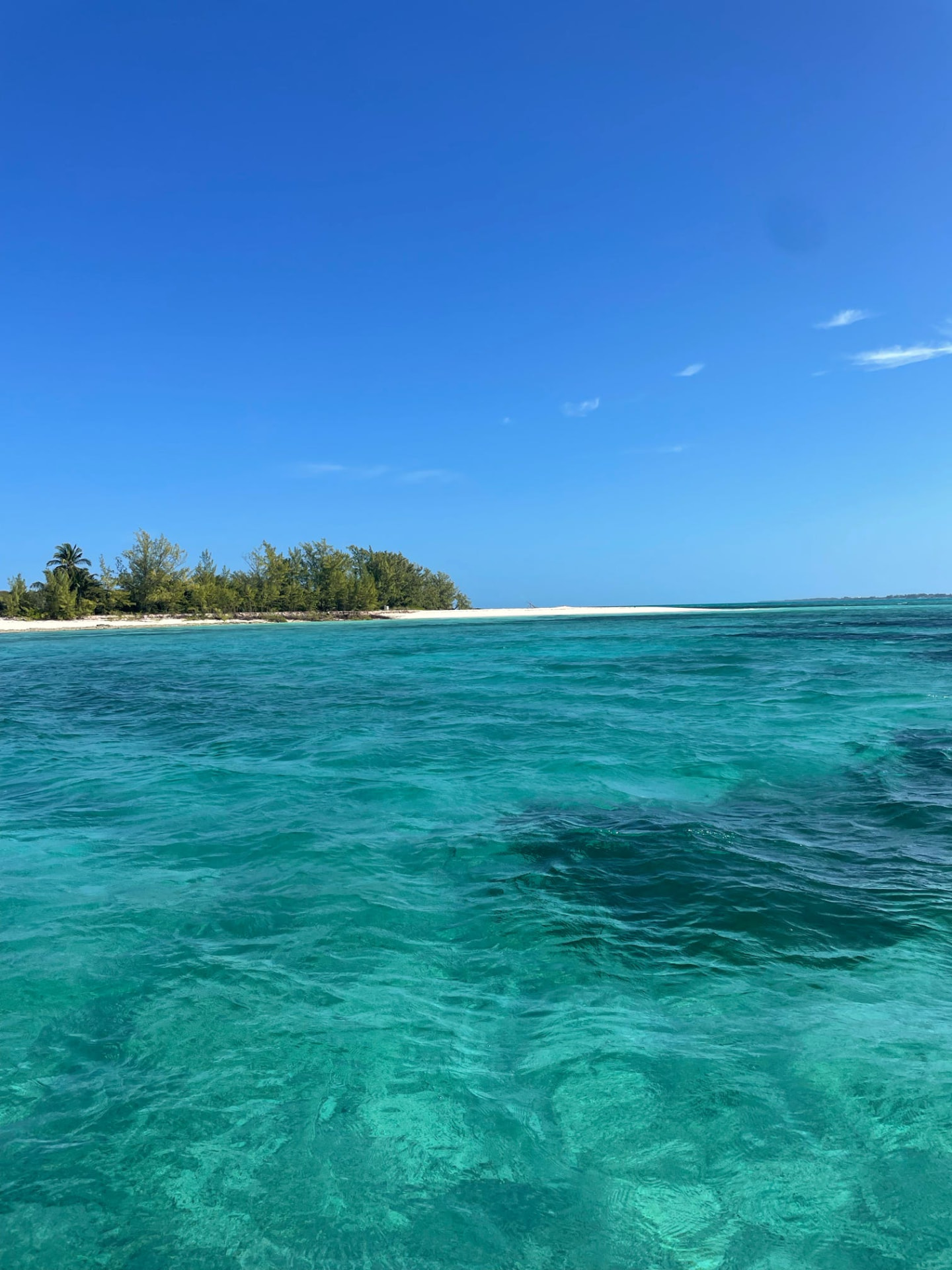 Clear turquoise coastal water beside a sandy, tree-lined island
