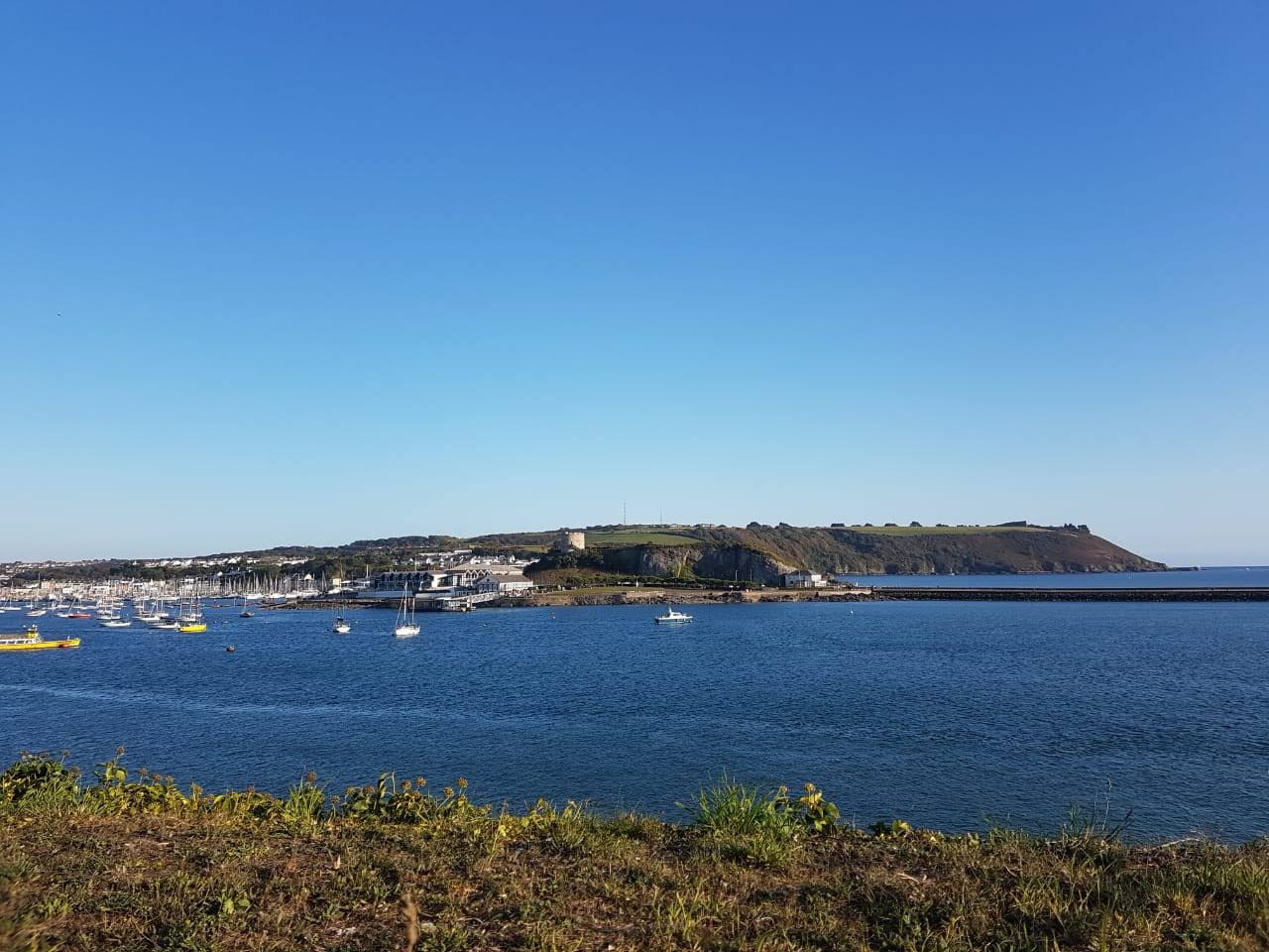 Boats moored in a calm harbour beneath a grassy headland